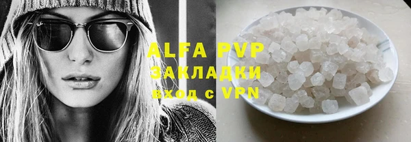 прущие грибы Михайловка