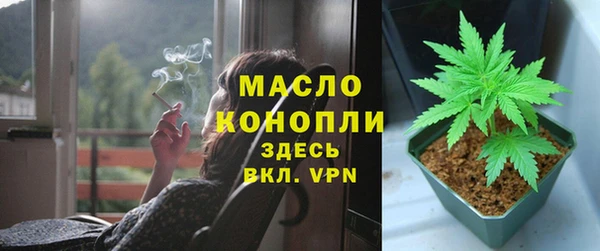 прущие грибы Михайловка