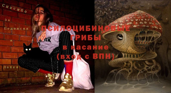 spice Михайловск