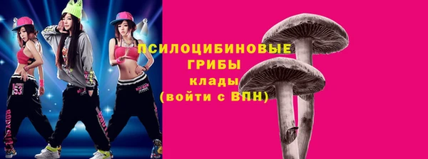 хмурый Михайлов