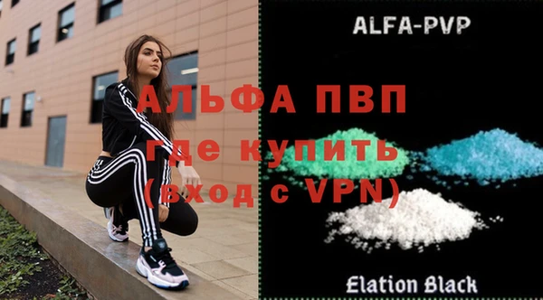 прущие грибы Михайловка