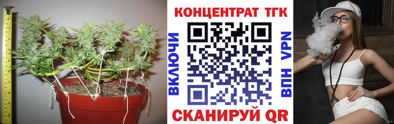 ТГК жижа  сайты даркнета как зайти  Павловский Посад  цены наркотик 