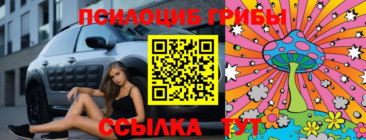 Псилоцибиновые грибы Psilocybine cubensis  Псилоцибиновые грибы ЛСД  Павловский Посад  Вход с VPN 
